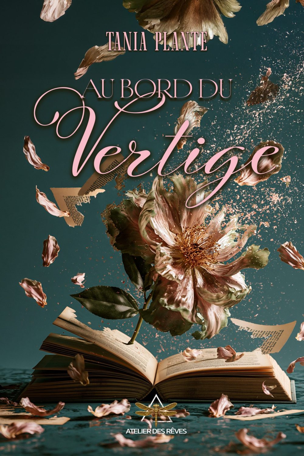 Au bord du vertige C1
