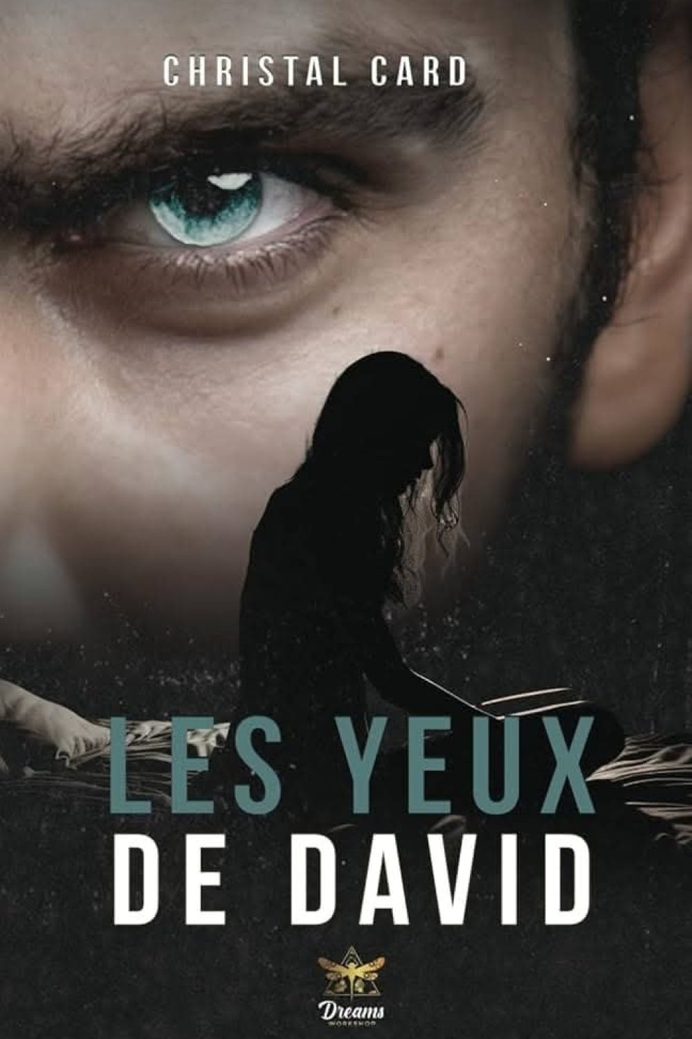 dans-les-yeux-de-david